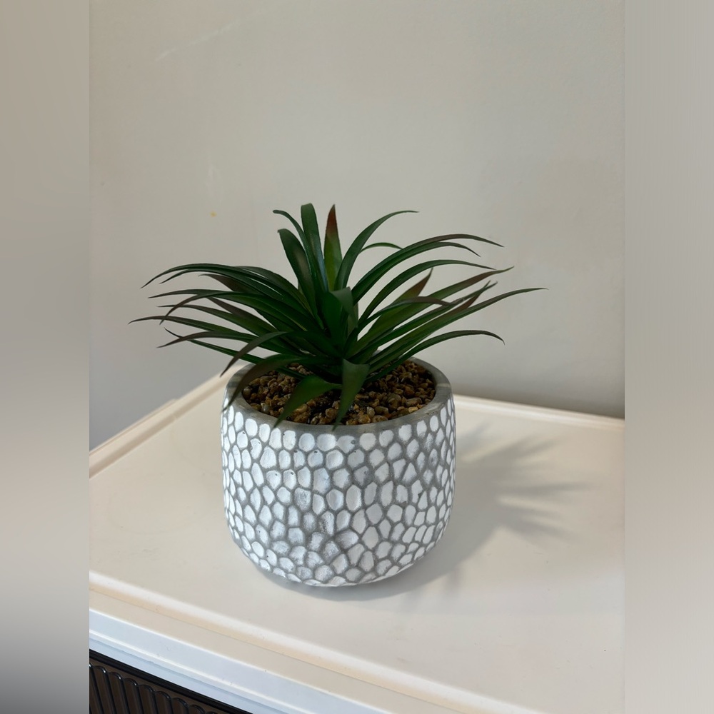 Artificial Plant Decor